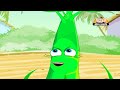 Learn about Plants in Hindi - Photosynthesis