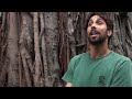 Fibra Design - Teaser  SK8 Folha Seca