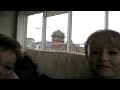 shih tzu honey pickles 2