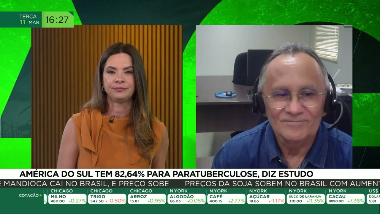 América do Sul registra 82,64% de paratuberculose em ovinos, diz estudo