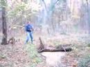 shotgun-shell-mortar.html