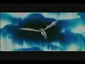 Pegaso y Rini- Someones watching over me