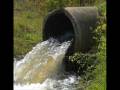 Ecological Footprint Video.wmv