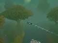 Flying Draenei