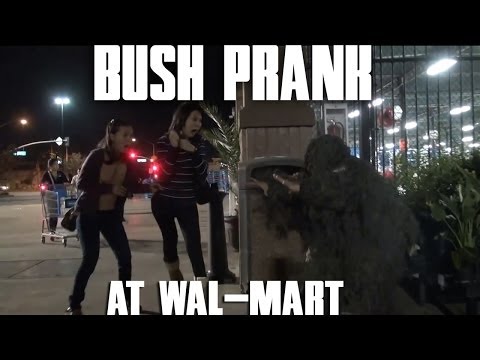 bush