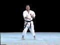 Karate Shito Ryu - Sepai