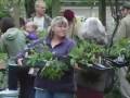 videos de Local Nonprofit Video Sample -  Seattle Tilth