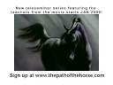 videos de Horse Teleseminar Series - starting Jan 2009