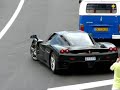 Black Ferrari Enzo