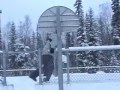 videos de ACRP Productions- Days Of Our Lives
