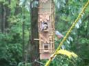 Red Breasted Nut Hatch Returns!