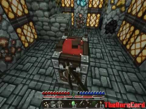 how to transplant ponga