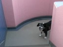 itchy itchy