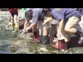Vancouver Aquarium Marine Mammal Rescue
