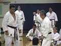 Traditional Karate Masters Series 9