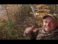 TIMBERLINE WILD ADVENTURES Whitetail Confrontation