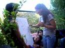 video Seis