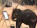 Elephant Paya Paints a Self Portrait