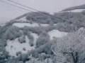videos de O FILMARE DE PE DEAL DE LA PENSIUNEA  GHEORGHIUT