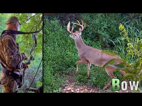 Hunting - It's our 200th episode and a great start to the 2013 deer season with the early bow season in Kentucky! Grant and Adam have to make some hard calls when a ni...