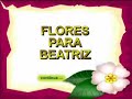02 - FLORES PARA BEATRIZ:  VENDA DO PINHEIRO  - 16.12.2007