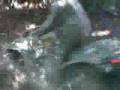 videos de Renegade800-bourbier
