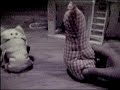 gfgdg