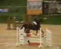 CSO Villepreux Stephanie 1
