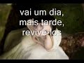 Os versos Que Te Dou