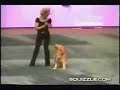 Funny Dog - By squizzle.com
