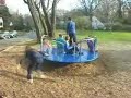 No Child Left Behind