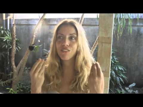 how to take care of ibs