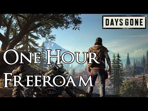 Days Gone - 1 Hour of Free Roam Exploration