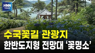 수국꽃길 관광지