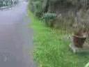 ARTHRO ARTHRO