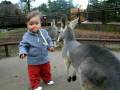 Safari Park