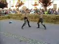 EMCA Pavone 2005