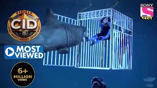 Daya Fights A Shark  CID  Most Viewed