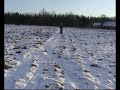 Kickspark fun on the first snow