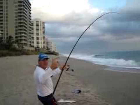 GIANT Jack Crevalle from the surf