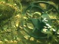Underwater Metal Detecting
