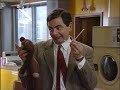 Miché - Tony Tammaro