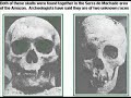 fossil evidence