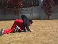 芝チクチク頭に避難