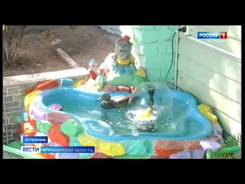 Просмотр видео Просмотр видео