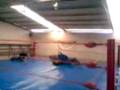 videos de WPX Evento: ¡¡IN YOUR FACE!! ELIMINACION EXTREMA (DEIKO VS CRAZYROCK VS BIG BULL VS EL LINCE) Parte 1/2