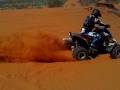 Quad diggin trenches.mp4
