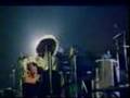 Angelo Branduardi - Il dono del Cervo Live
