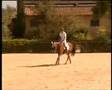 URY- A.A. 2003 - Circuito UNIRE-FISE 2007, Augusta