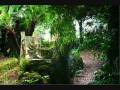 Donna Olimpia's Ghost Dance.wmv